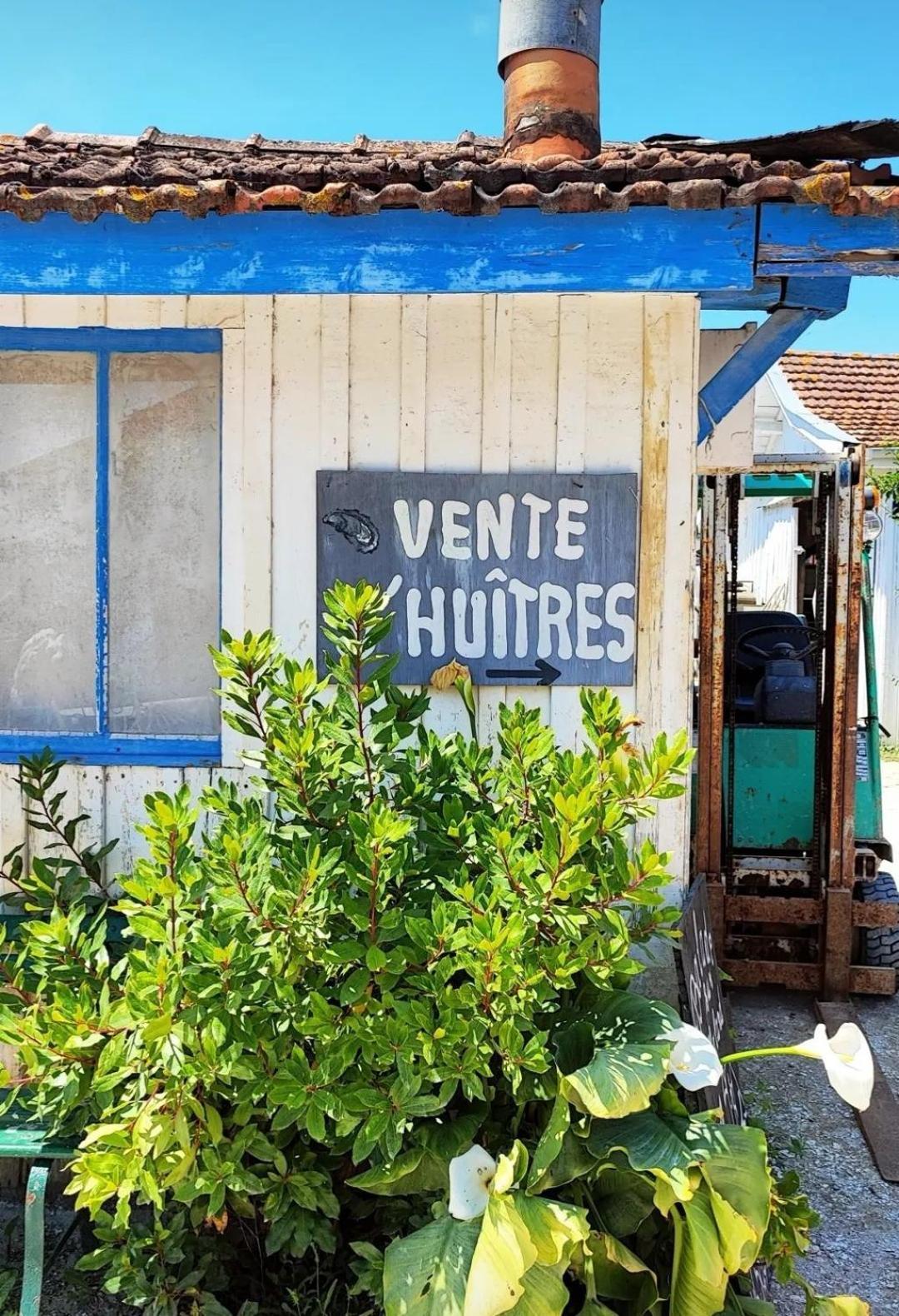 Villa Aitama Lège-Cap-Ferret Exteriör bild